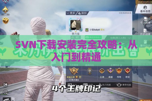 SVN下载安装完全攻略：从入门到精通