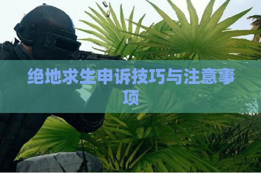 绝地求生申诉技巧与注意事项