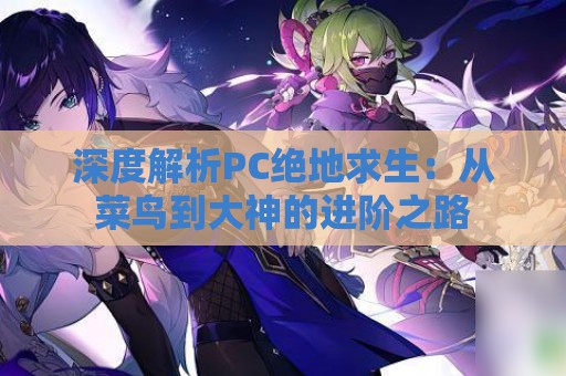 深度解析PC绝地求生：从菜鸟到大神的进阶之路