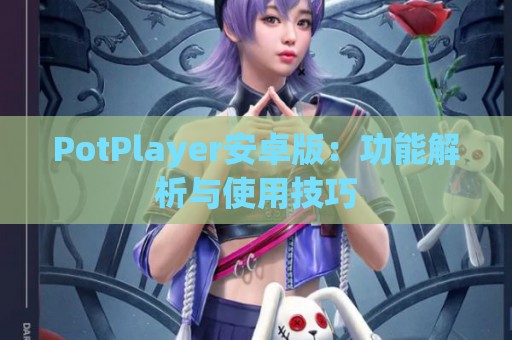 PotPlayer安卓版：功能解析与使用技巧