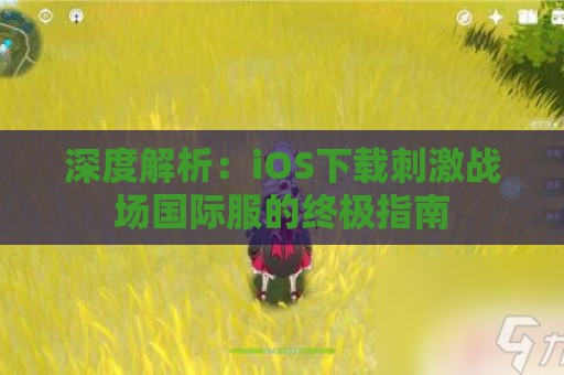 深度解析：iOS下载刺激战场国际服的终极指南