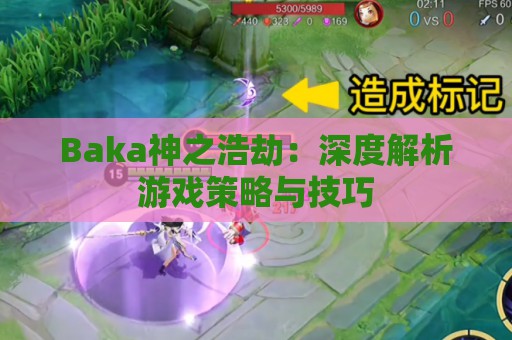 Baka神之浩劫：深度解析游戏策略与技巧