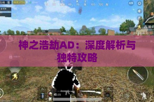 神之浩劫AD：深度解析与独特攻略