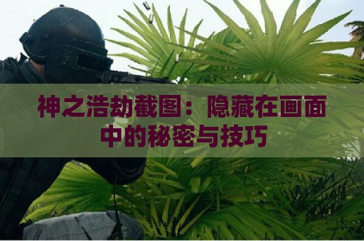 神之浩劫截图：隐藏在画面中的秘密与技巧