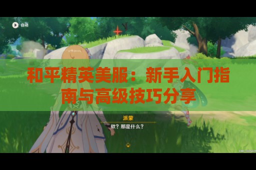 和平精英美服：新手入门指南与高级技巧分享