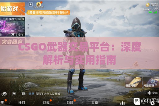 CSGO武器交易平台：深度解析与实用指南