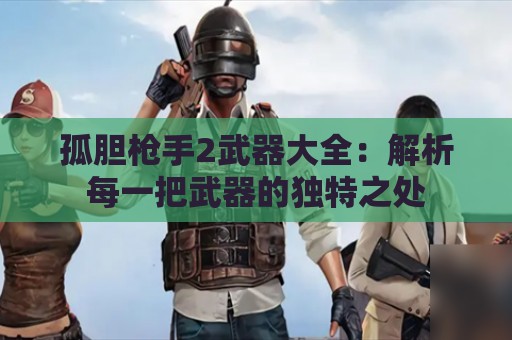 孤胆枪手2武器大全：解析每一把武器的独特之处