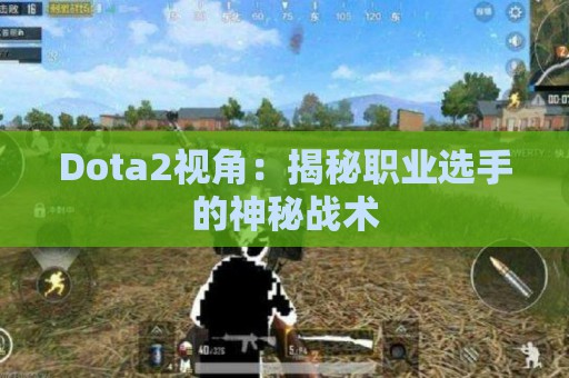 Dota2视角：揭秘职业选手的神秘战术