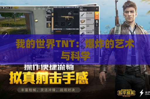 我的世界TNT：爆炸的艺术与科学