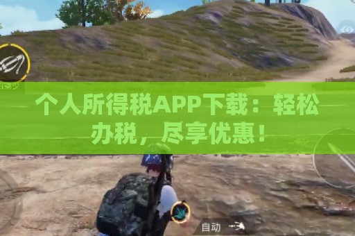 个人所得税APP下载：轻松办税，尽享优惠！